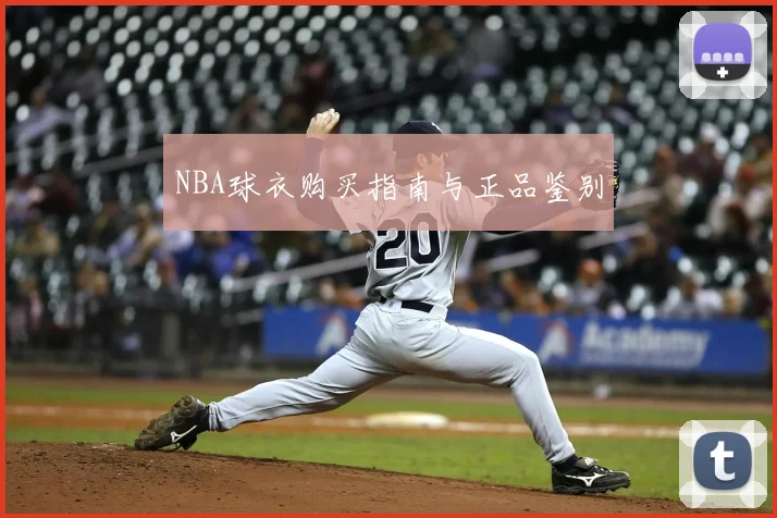 NBA球衣购买指南与正品鉴别