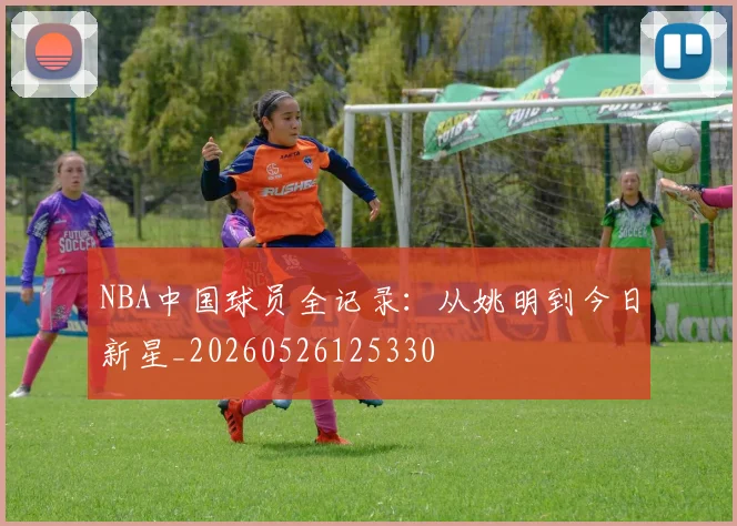 NBA中国球员全记录:从姚明到今日新星_20260526125330