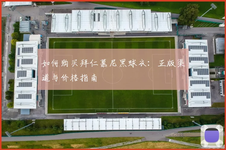 如何购买拜仁慕尼黑球衣：正版渠道与价格指南